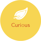 Curious